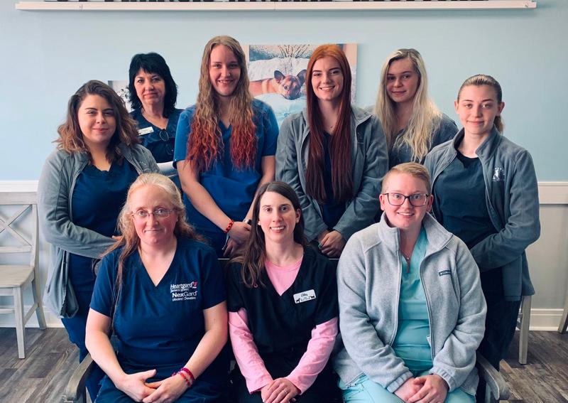 St. Francis Animal Hospital North Huntingdon veterinary hospital